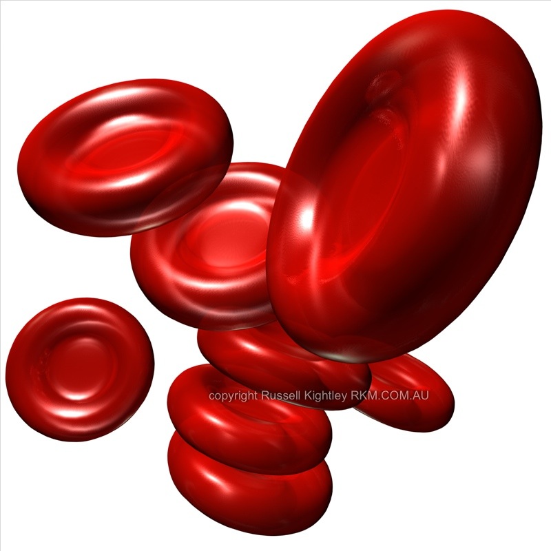 Image: https://preachrr.files.wordpress.com/2011/03/cell-red-blood-cell.jpg